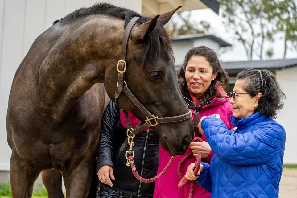 Volunteers Needed - Help Bring Joy Through Equine Therapy 🐴