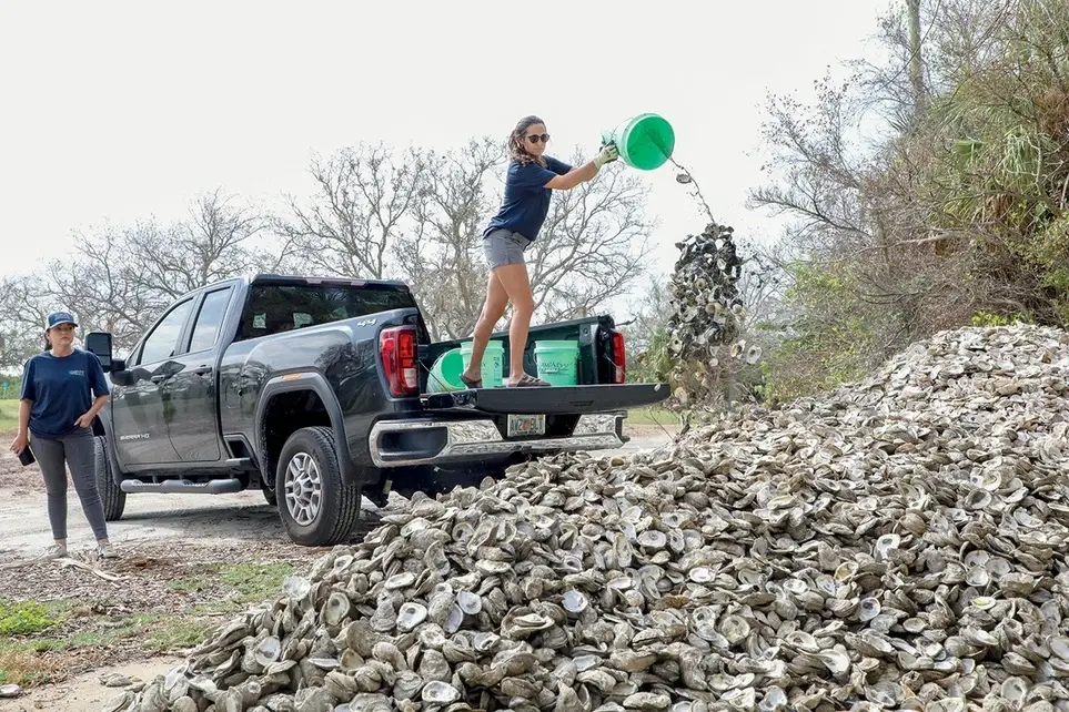 Oyster Shell Recycling