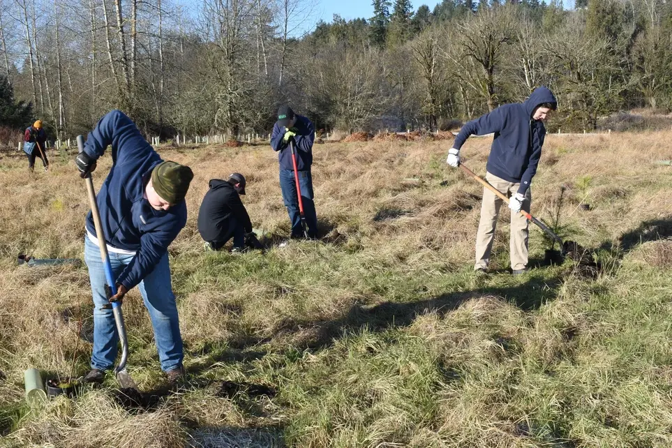 Support Your Local Spawners (Salmon) @ South Prairie Creek Preserve - Join PCD's Feb. 21 Work Party!