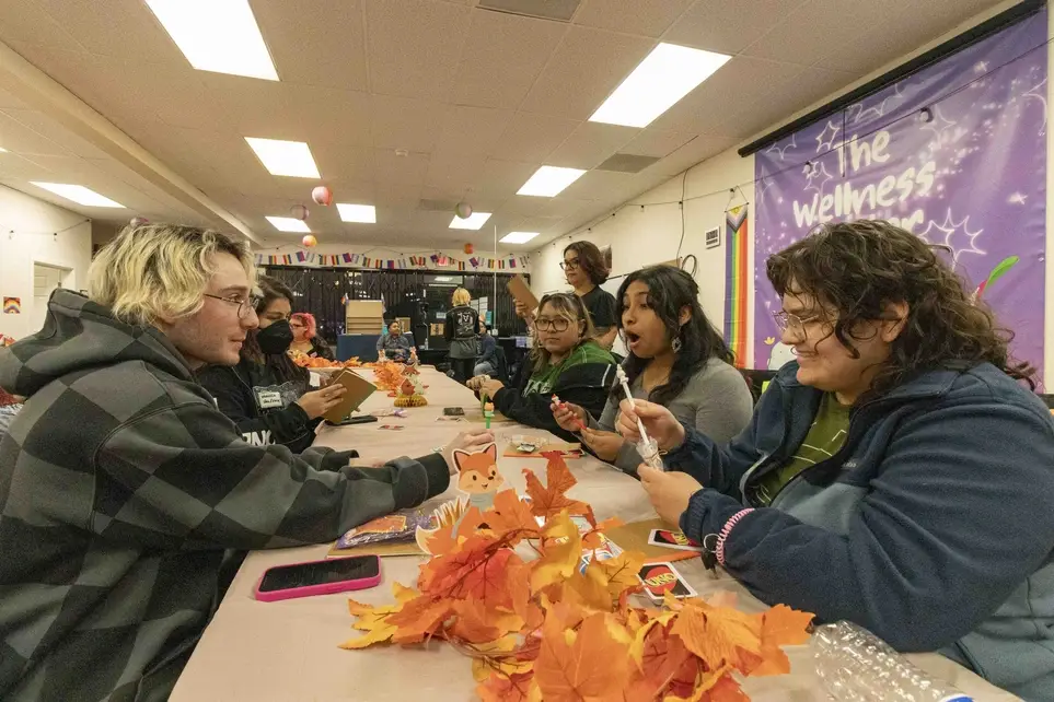 Digital Support Volunteer