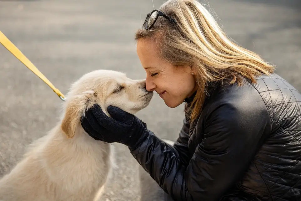 Medical Coordinator (Leadership Role) – Rescue City (Remote)