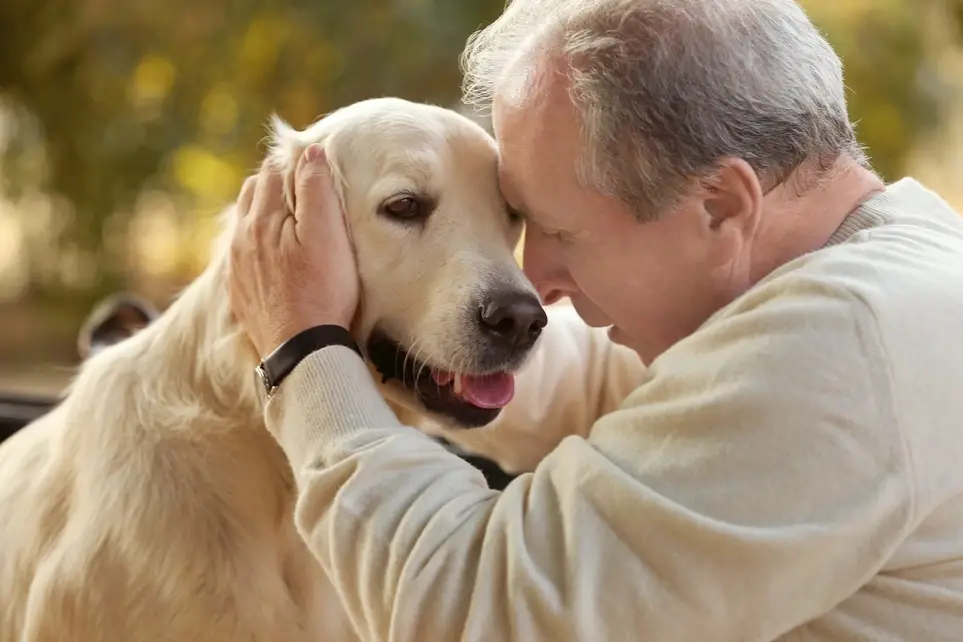 PET THERAPY Dogs CERTIFIED to Visit with Hospice Patients