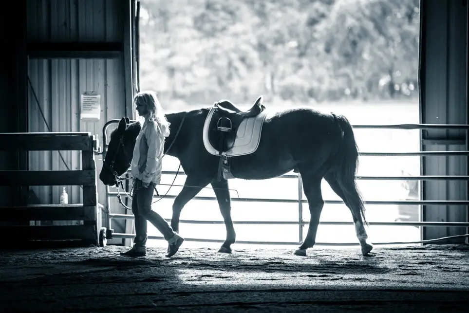 Program Volunteer -- work with horses and kids!