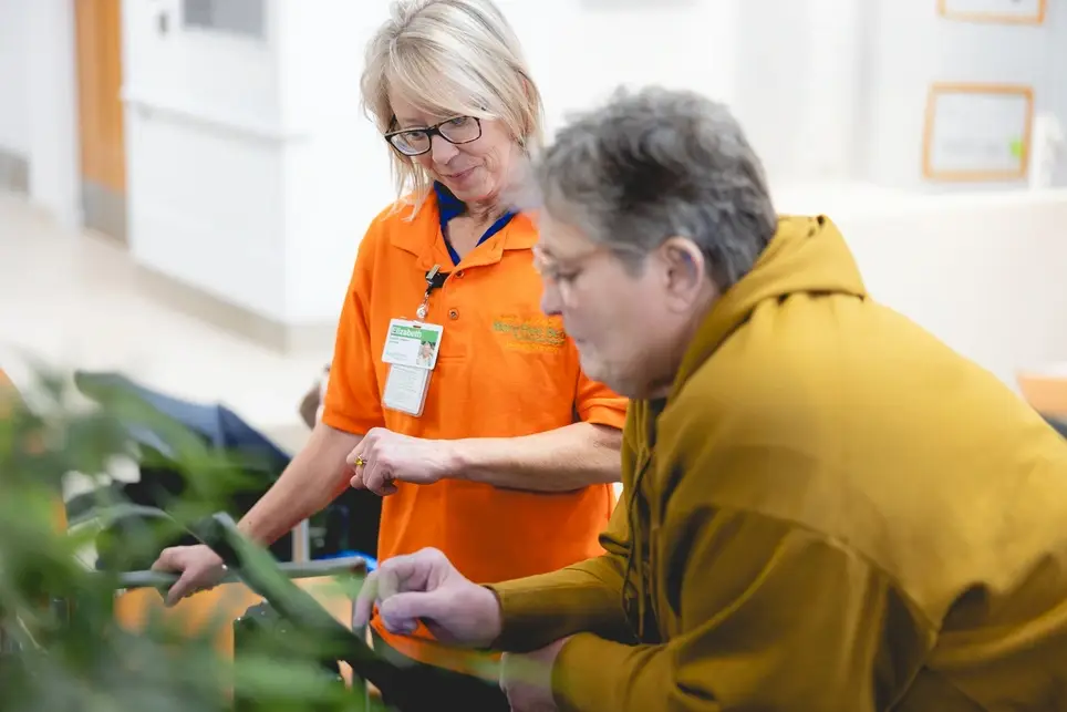Guest Services Volunteer - Greeter and Wayfinder