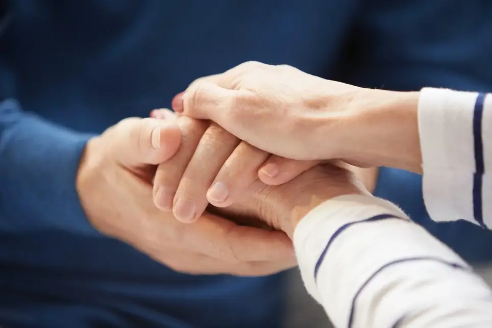 Hospice Volunteers- companionship