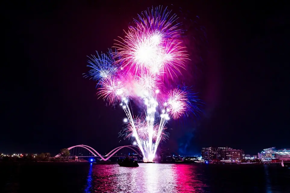 Petalpalooza Activity Support