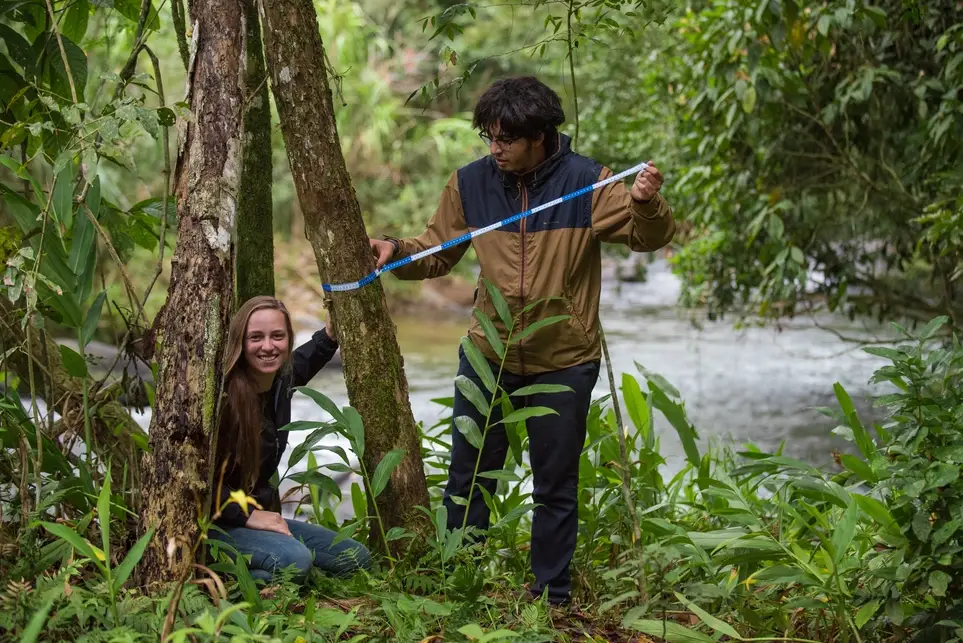 Forest Inventory (Eco-Volunteer)