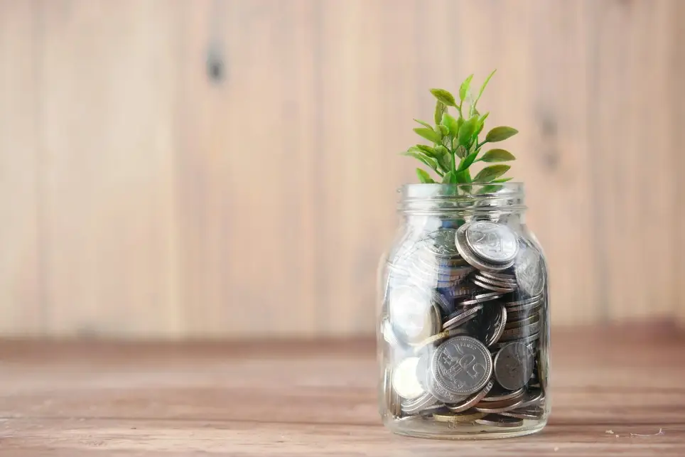Treasurer (Board of Directors – Volunteer Role)