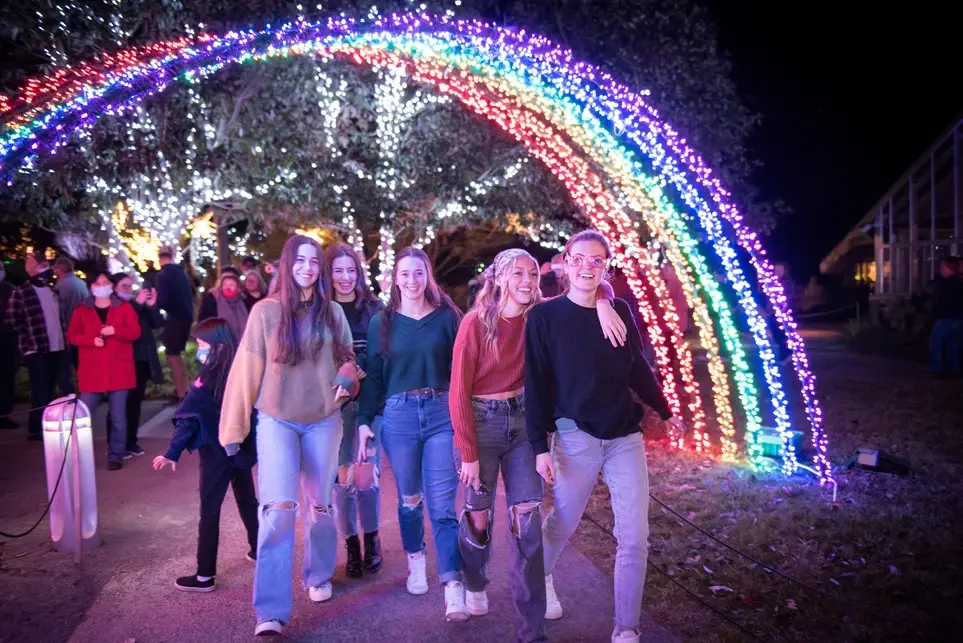 Volunteers needed for Winter lights at The North Carolina Arboretum!