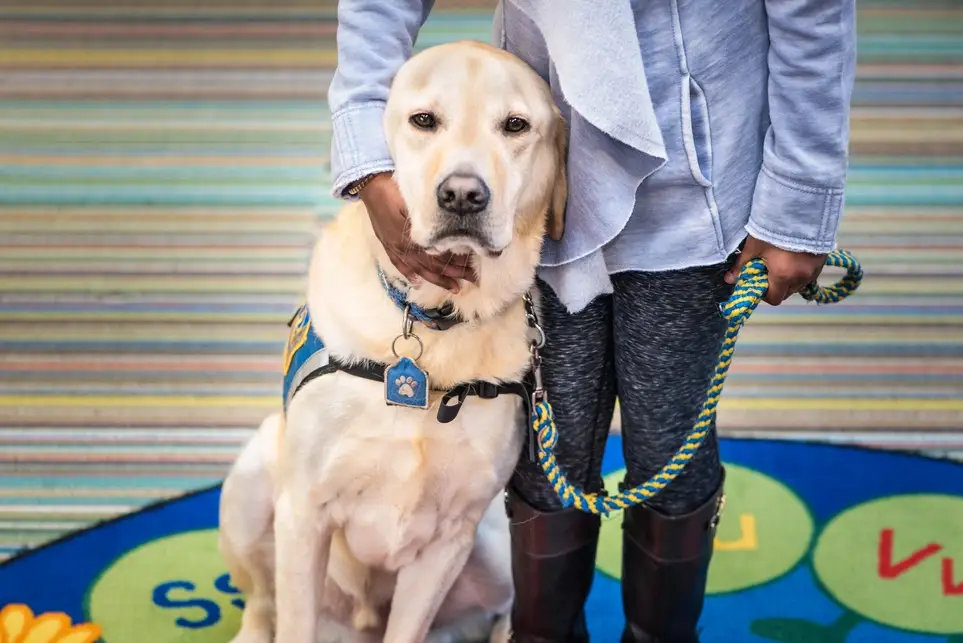 Volunteer UX/UI Designer (Remote)