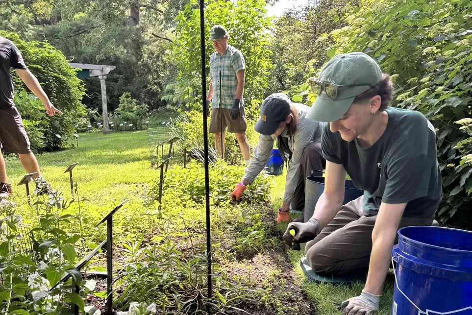 Earth Day Volunteer Extravaganza