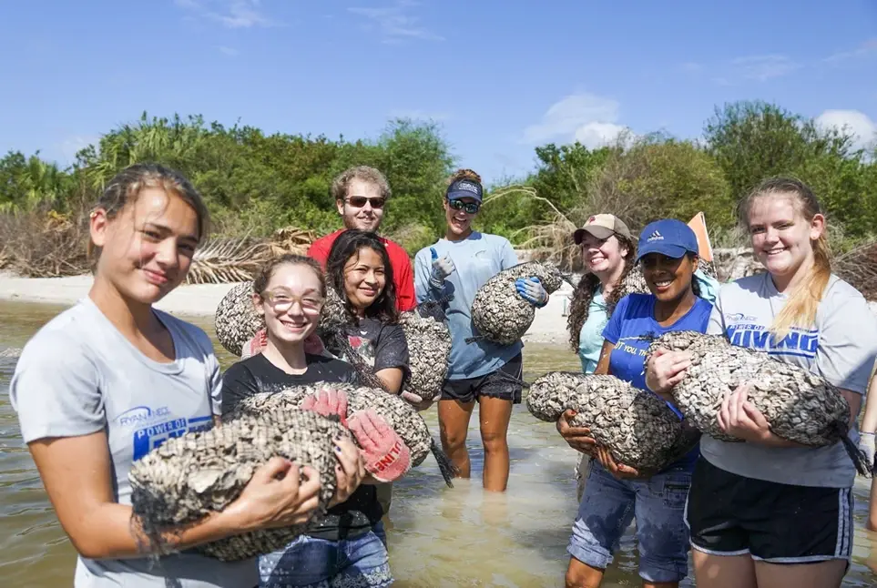 Oyster shell project