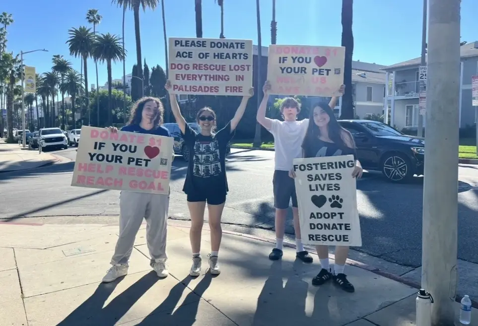 Fundraising and Adoption Event 3/14/26