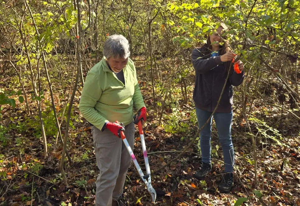 Pendery Nature Trail Invasive Removal