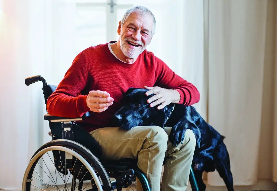 Pet Therapy Volunteer Teams Needed – Bring Comfort & Companionship to Hospice Patients