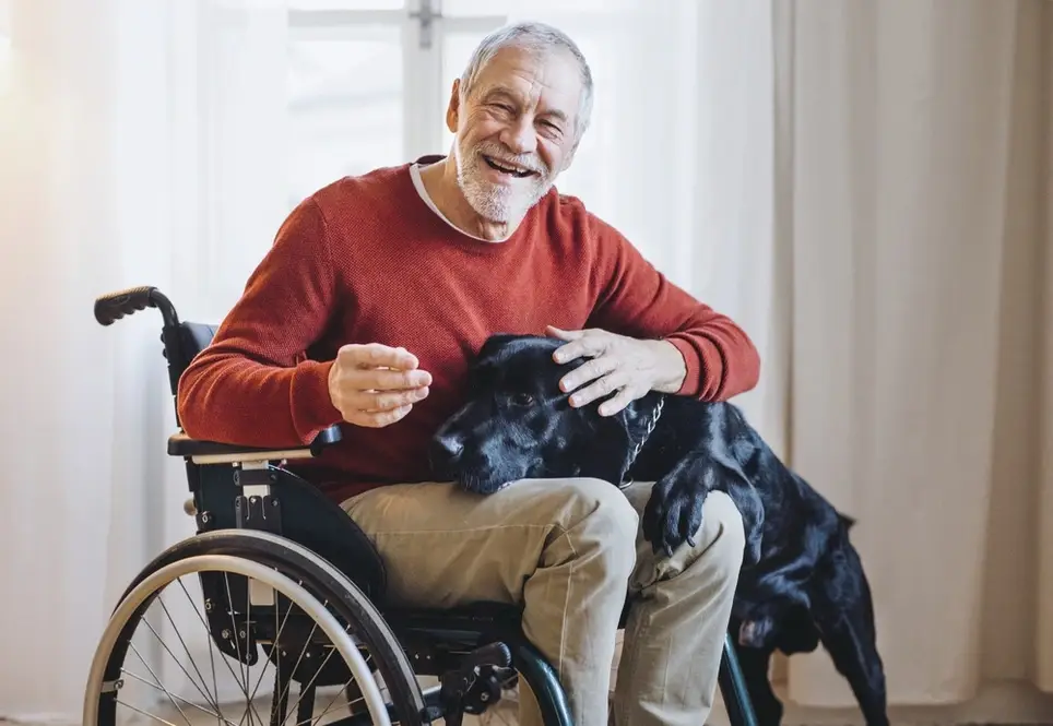 Pet Therapists Needed for Hospice (Adams/Cumberland/Dauphin/Perry Counties)