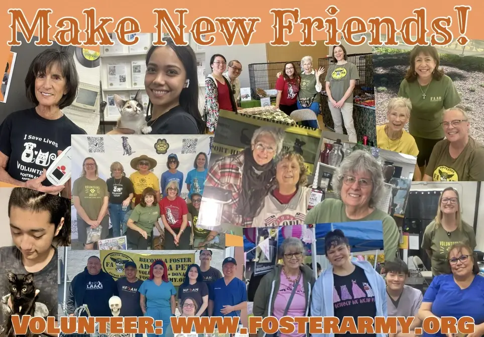 Thrift Store Volunteer