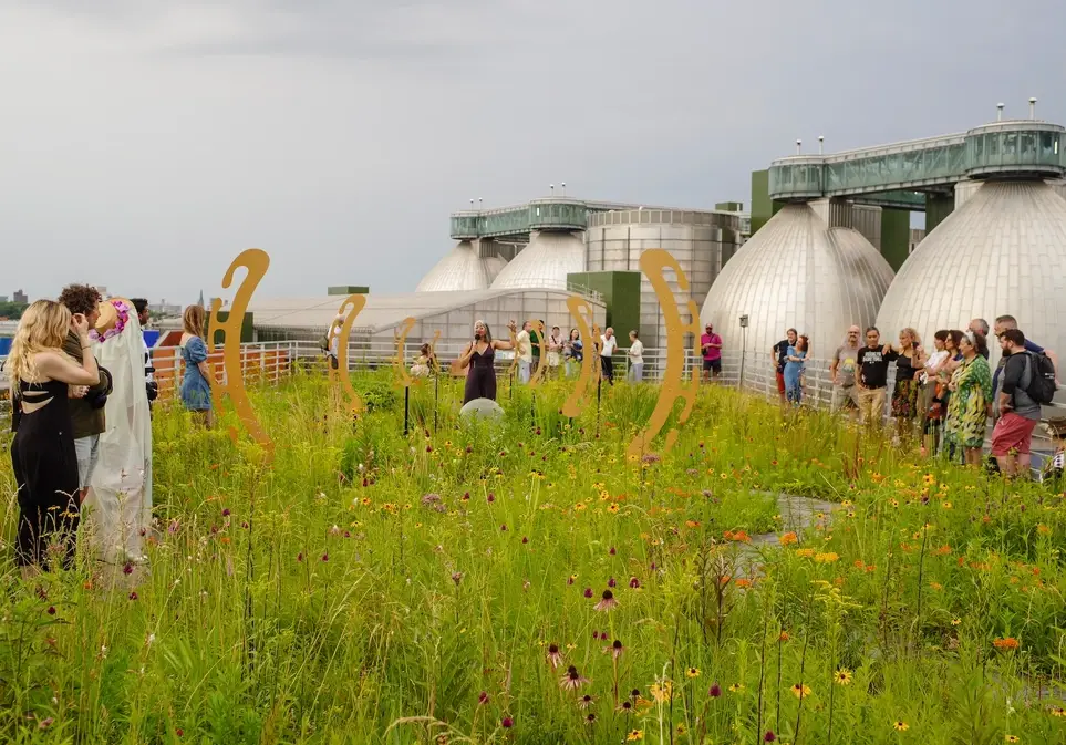 Digital Media & Marketing Associate