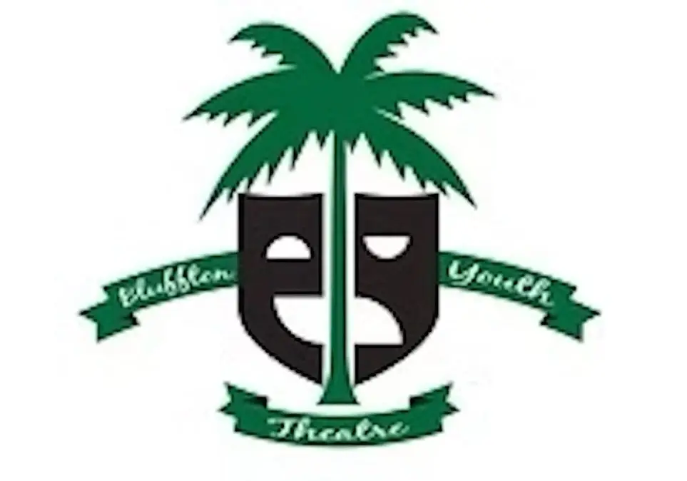 Theatre Volunteer