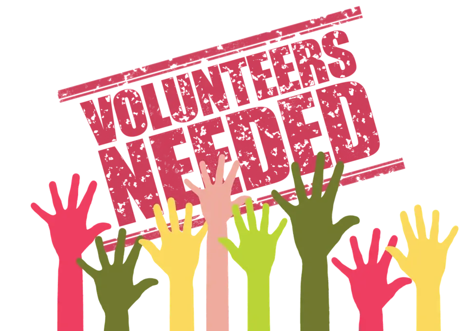 Wings Over Texas Hospice Volunteer:  Office Help