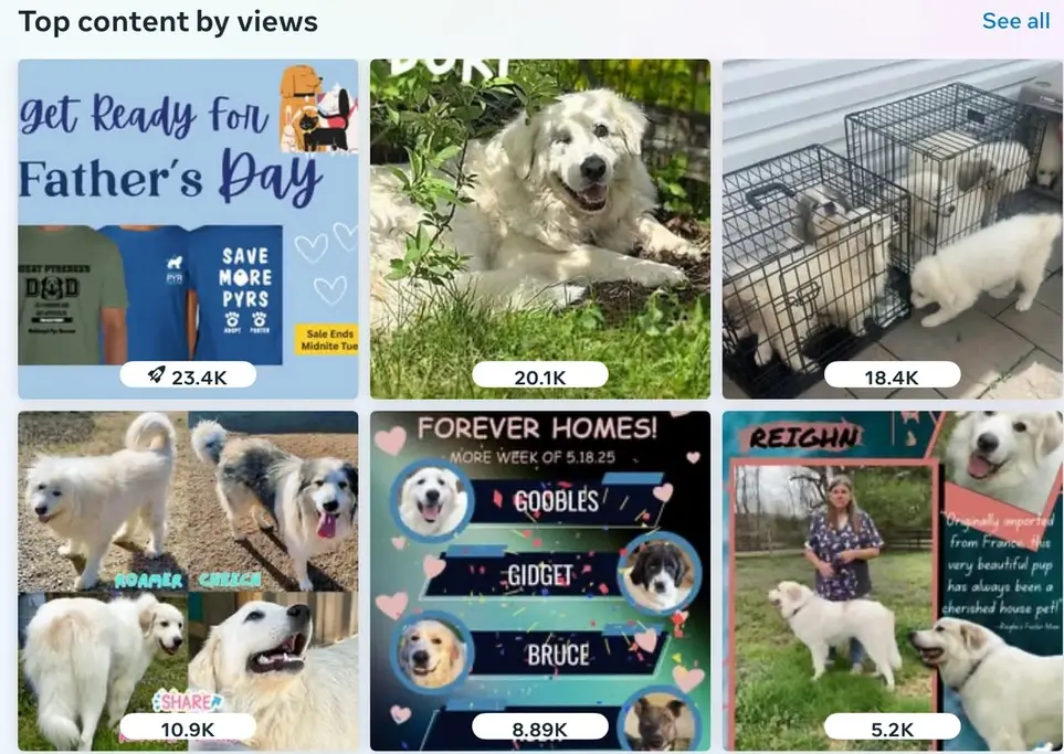 Social Media Coordinator