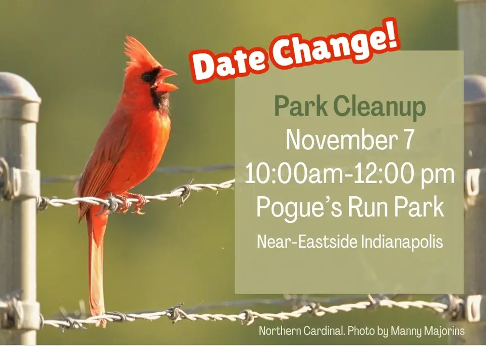 Park Cleanup at Pogue's Run Park