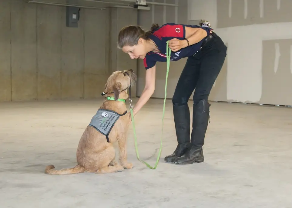 Volunteer Service Dog Puppy Raiser