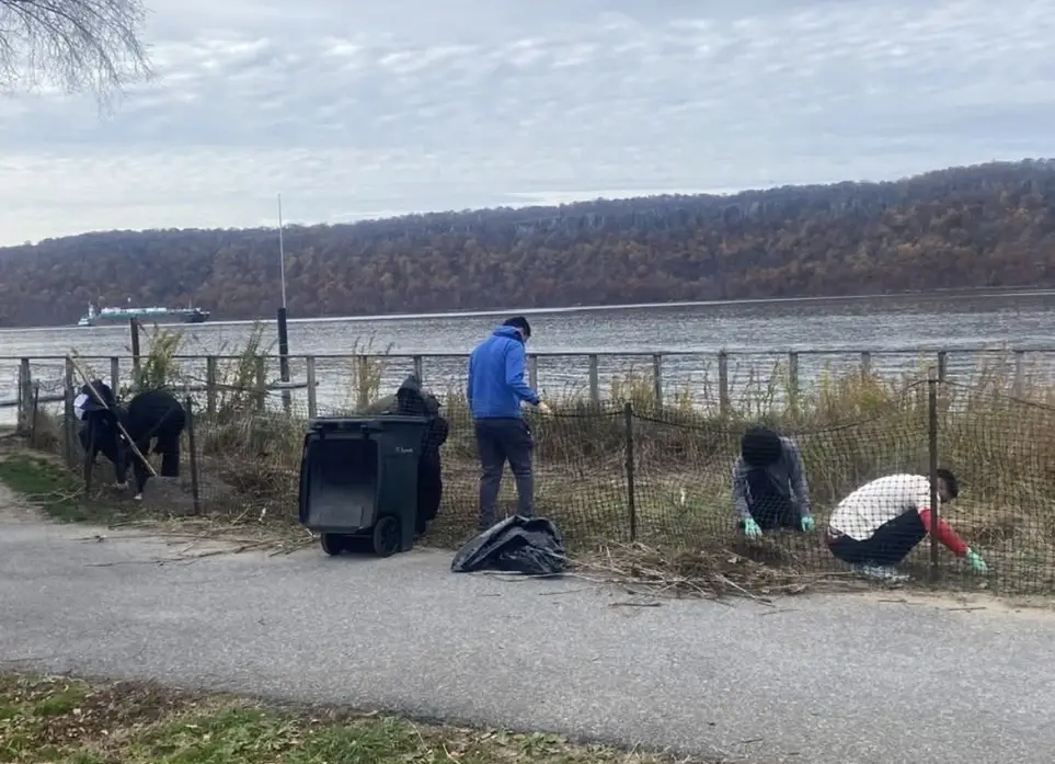 Saturday Morning Clean Ups at Habirshaw Park adjacent to Beczak. Restoring the tidal marsh, gardening, composting.