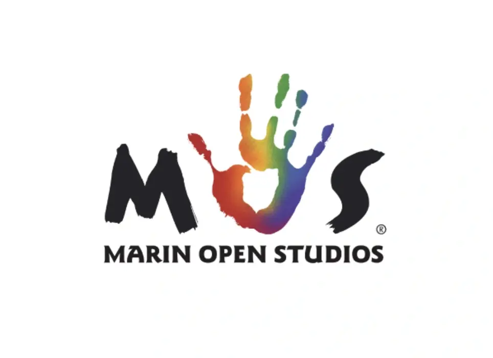 Board Member - Marin Open Studios