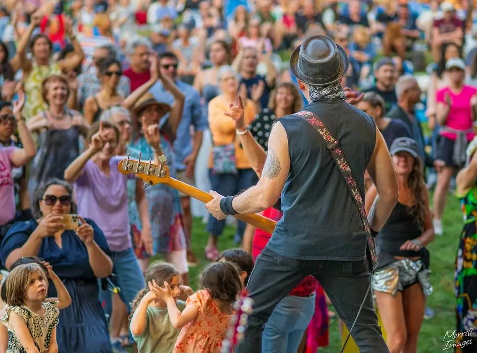 Chair, Summer Series at the Amphitheater, Volunteer Park Trust