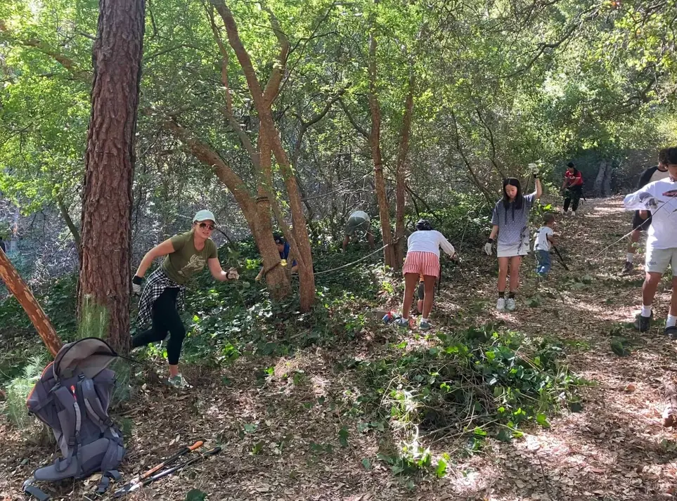 Land Restoration  - Remove Invasive Ivy at Big Oak Canyon
