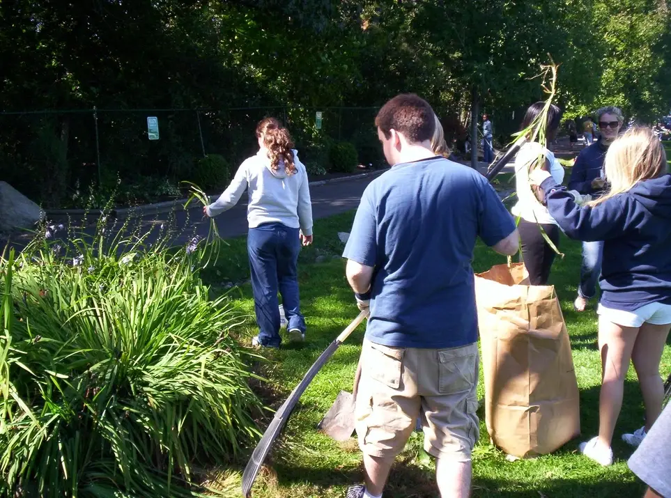 JAYCEES Autumn Clean-ups & Green-ups!