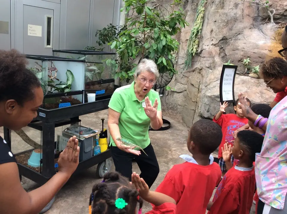 Share another part of the world as a Glasshouse Ambassador