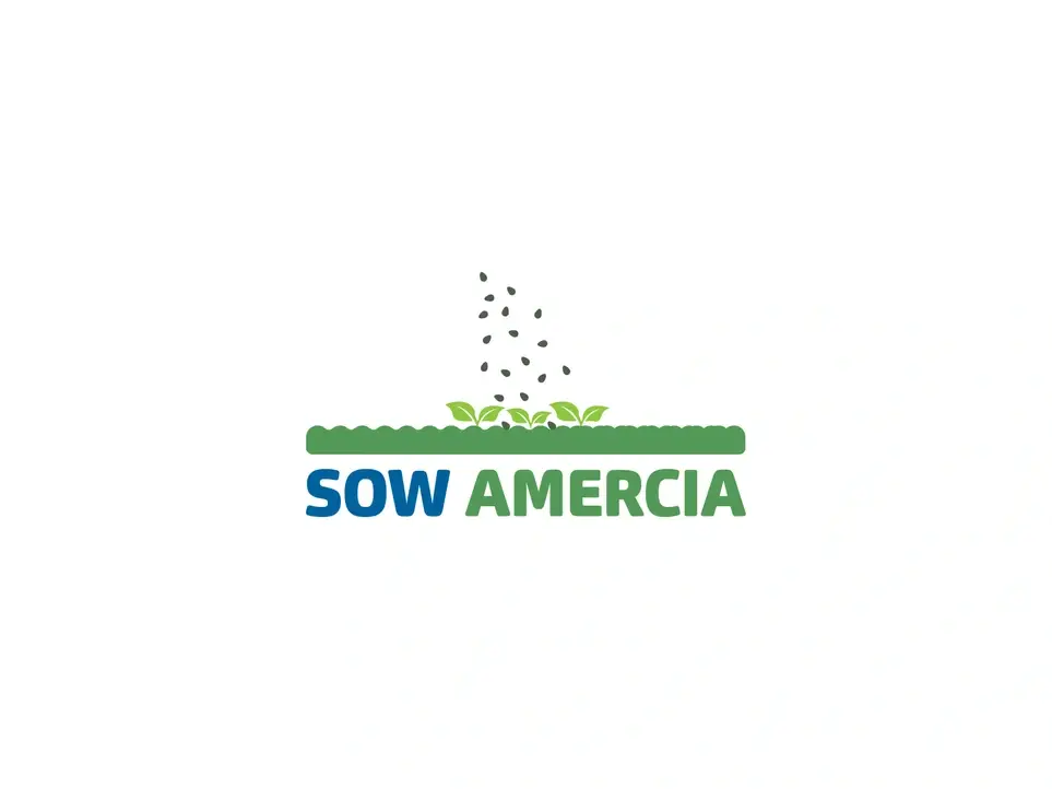 Digital Strategist / Project Manager