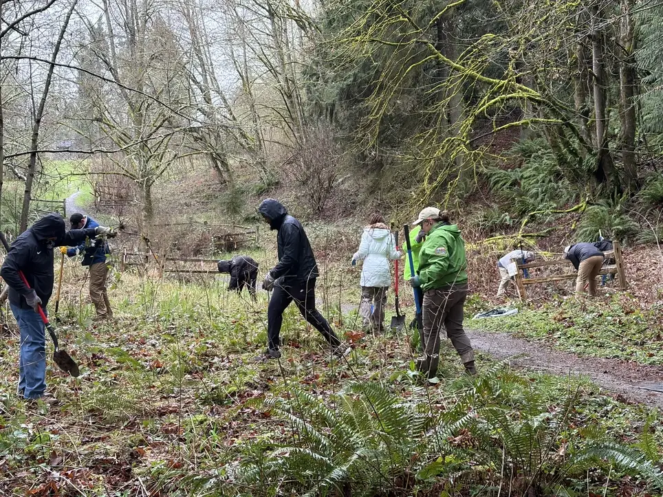 Promote Healthy Turtle Habitat at Deadman's Pond in Puyallup - Join PCD's Apr. 17 Work Party!