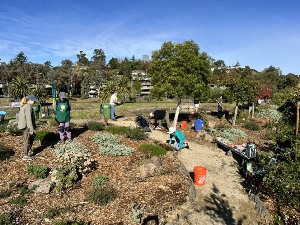 Native Plant Work Party with local nonprofit