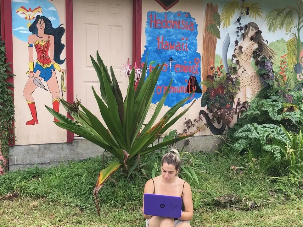 SEO Web Promotion Consultant - Lava to Lotus Web Projects