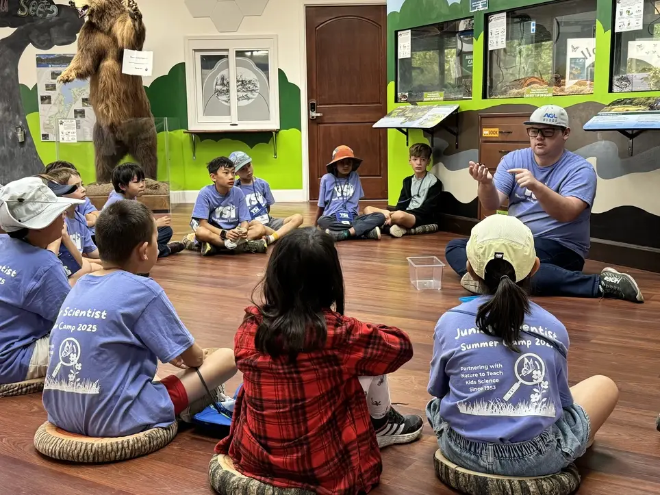 Member of the Board of Directors