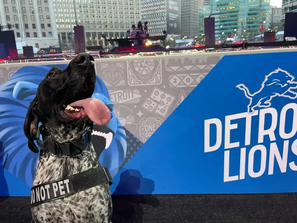 Passenger Decoy - Explosive Detection K9