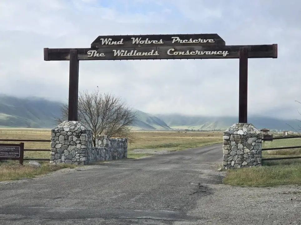 Wind Wolves Spring Nature Fest - Help at our Condor Booth
