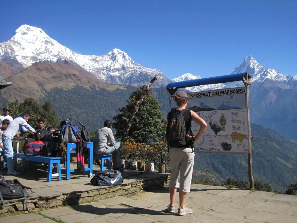 Nonprofit Digital Marketing volunteer – SEO, Social Media & Content Creation