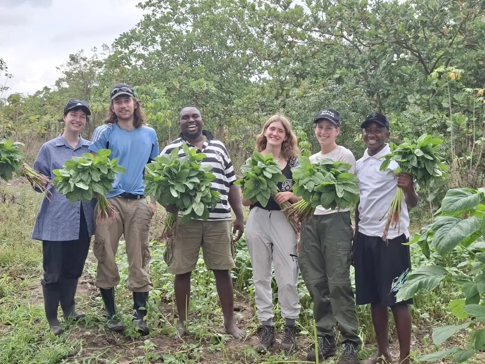 Organic Farm Demonstration Project, Kilimanjaro region - Northern zone of Tanzania