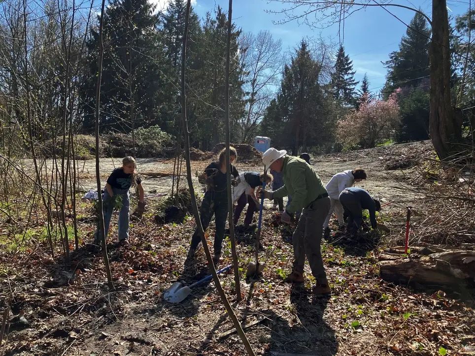Enhance Wildlife Habitat at Puyallup's Horsely Property - Join PCD's May 23 Work Party!