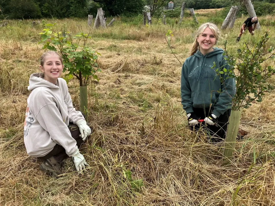 Care for Salmon Habitat at South Prairie Creek Preserve - Join PCD's May 30 Work Party
