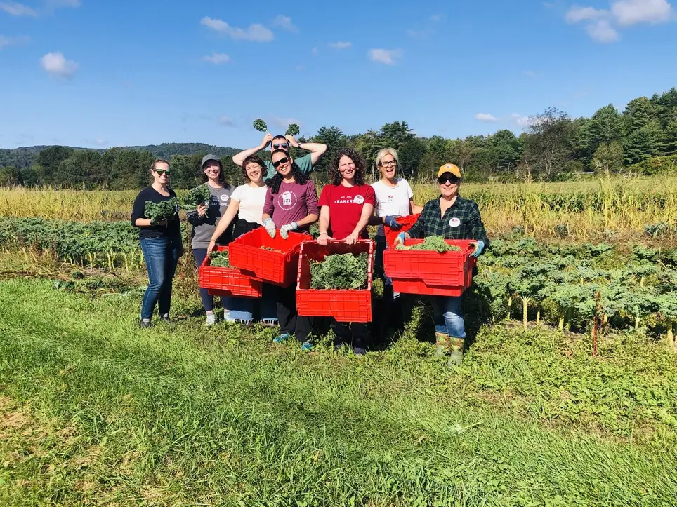 Grow Food for Hunger Relief in Willing Hands' Gardens