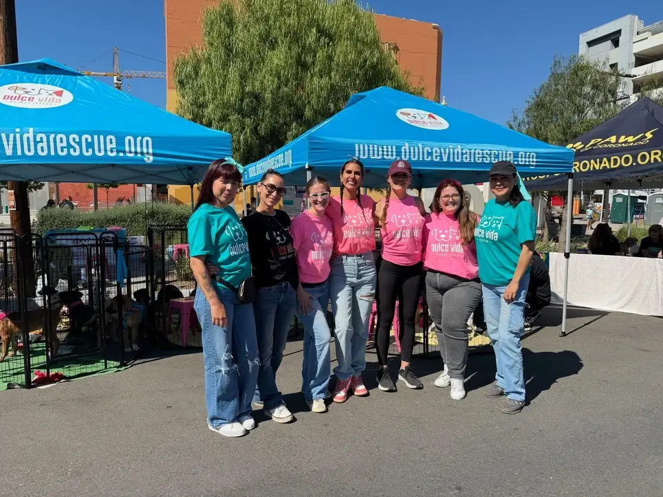 Volunteer for Adoption Events