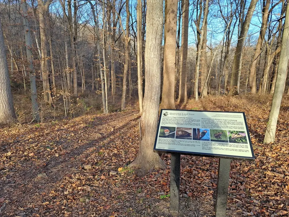 Stewardship Saturday at Zega Preserve