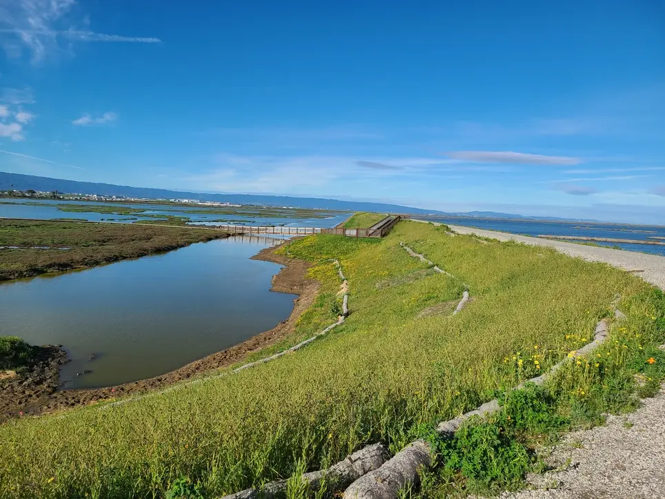 Tending for Tomorrow