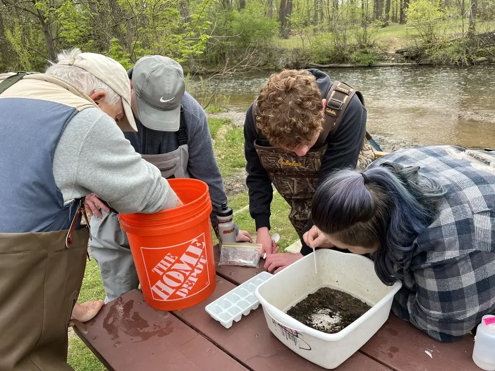 Volunteer Bug ID Event