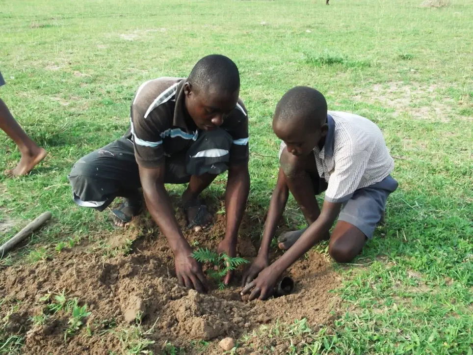 Online Fundraiser to Support Tree Planting & Climate Resilience Efforts